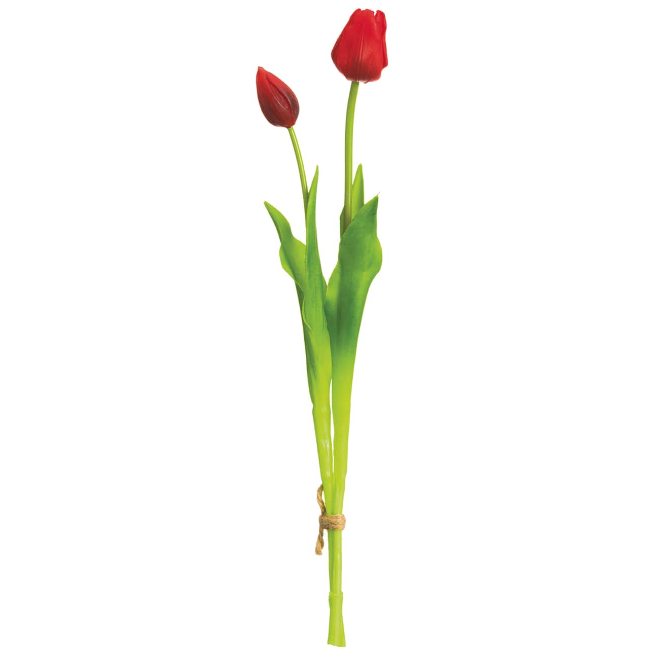 Red Tulip Bundle